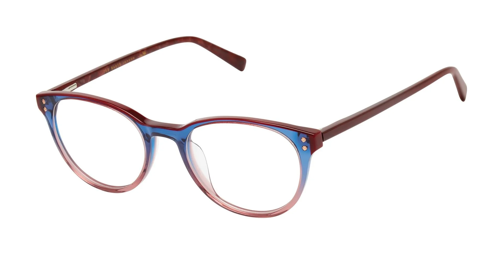 Ted Baker TFW022 Eyeglasses - Image 3