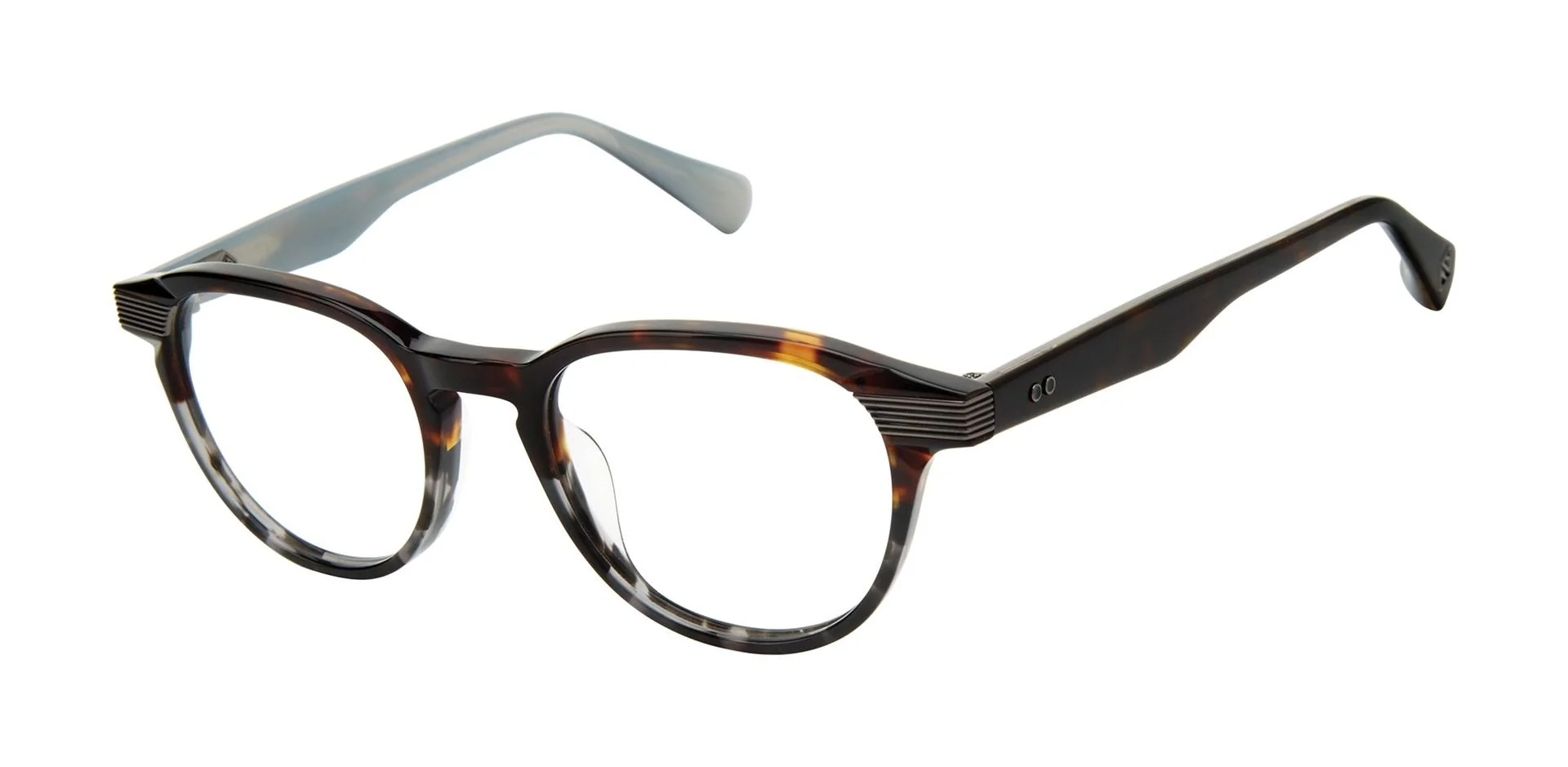 Ted Baker TLM004 Eyeglasses - Image 2