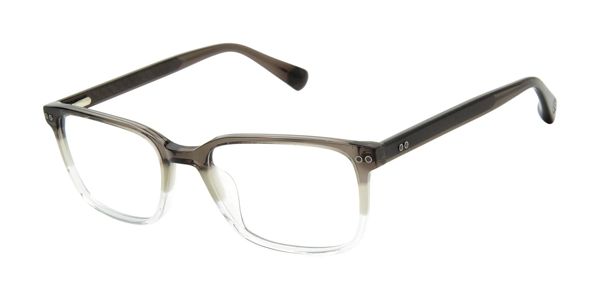 Ted Baker TLM005 Eyeglasses - Image 2