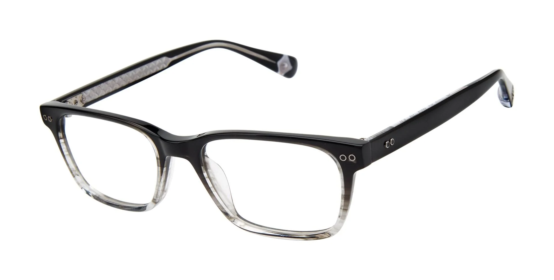 Ted Baker TLM006 Eyeglasses - Image 2