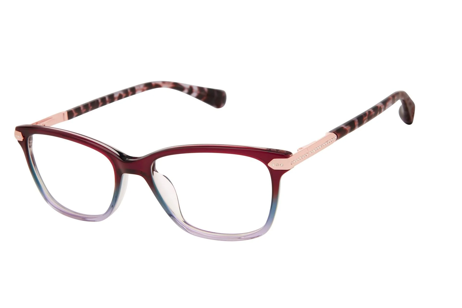 Ted Baker TLW016 Eyeglasses - Image 2