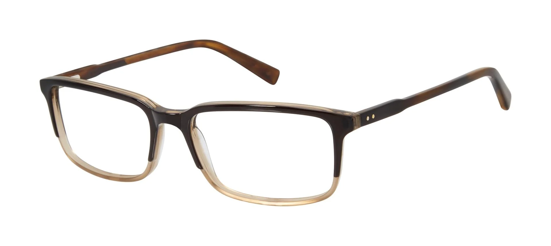 Ted Baker TM002 Eyeglasses - Image 2