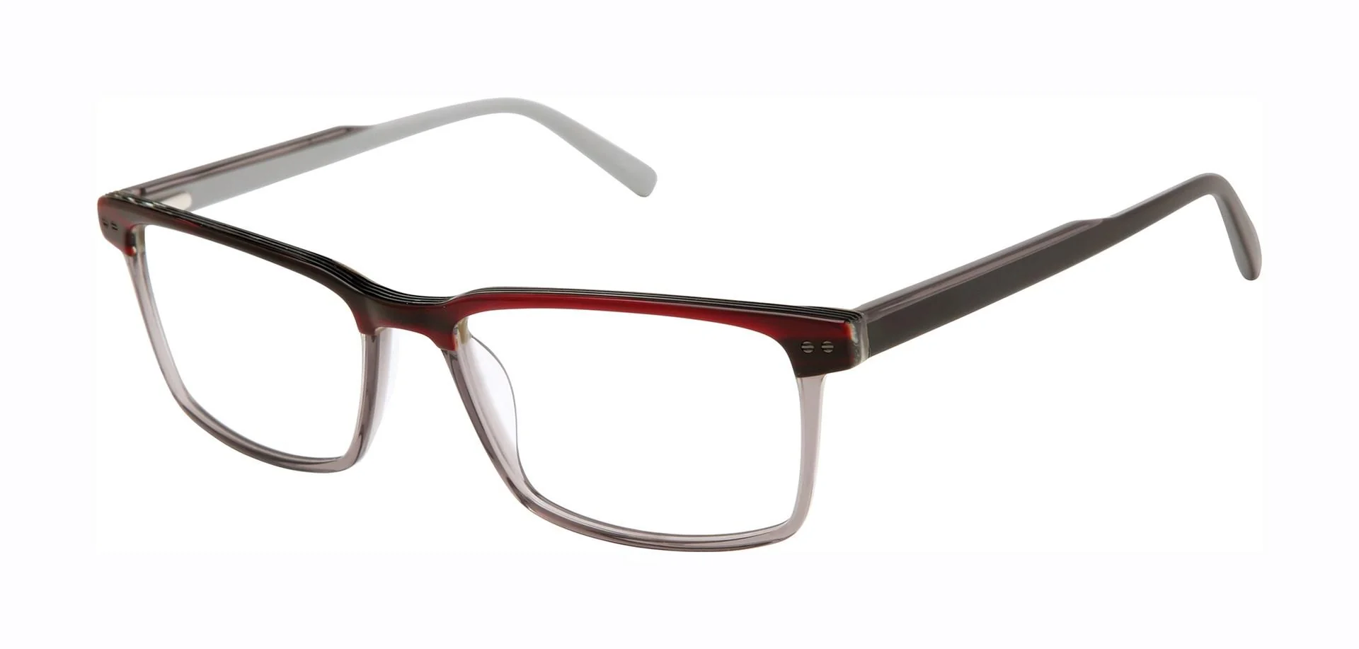 Ted Baker TXL012 Eyeglasses - Image 2