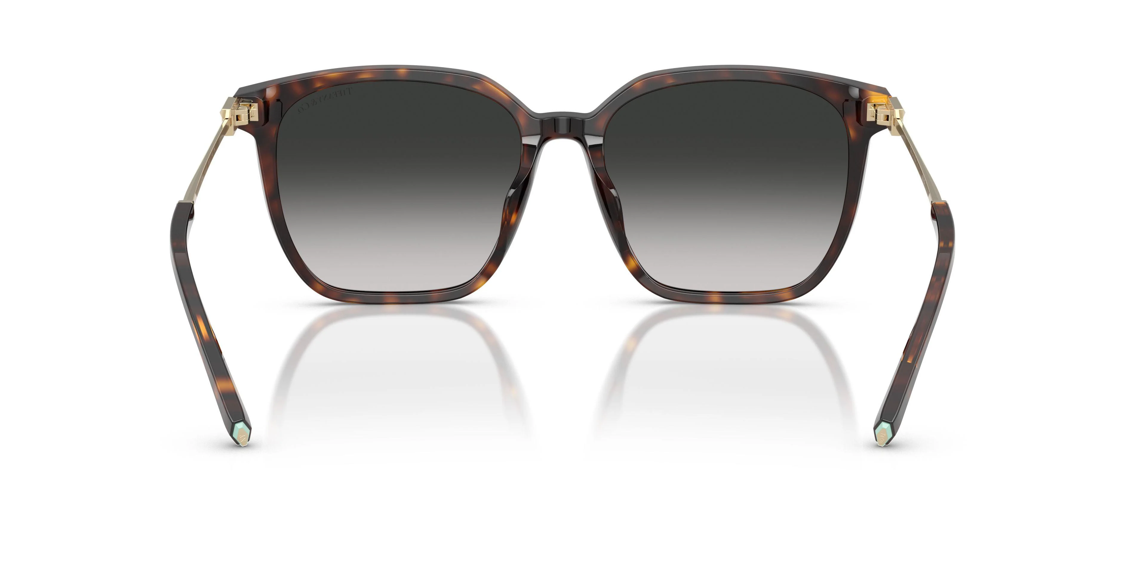 Tiffany 4244D Sunglasses - Image 12