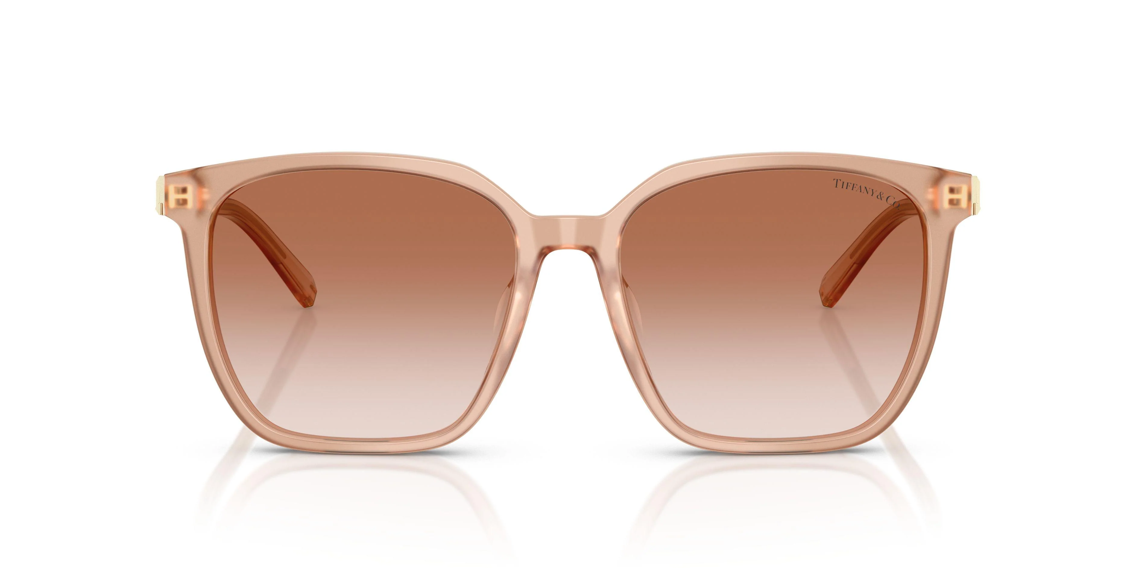 Tiffany 4244D Sunglasses - Image 8