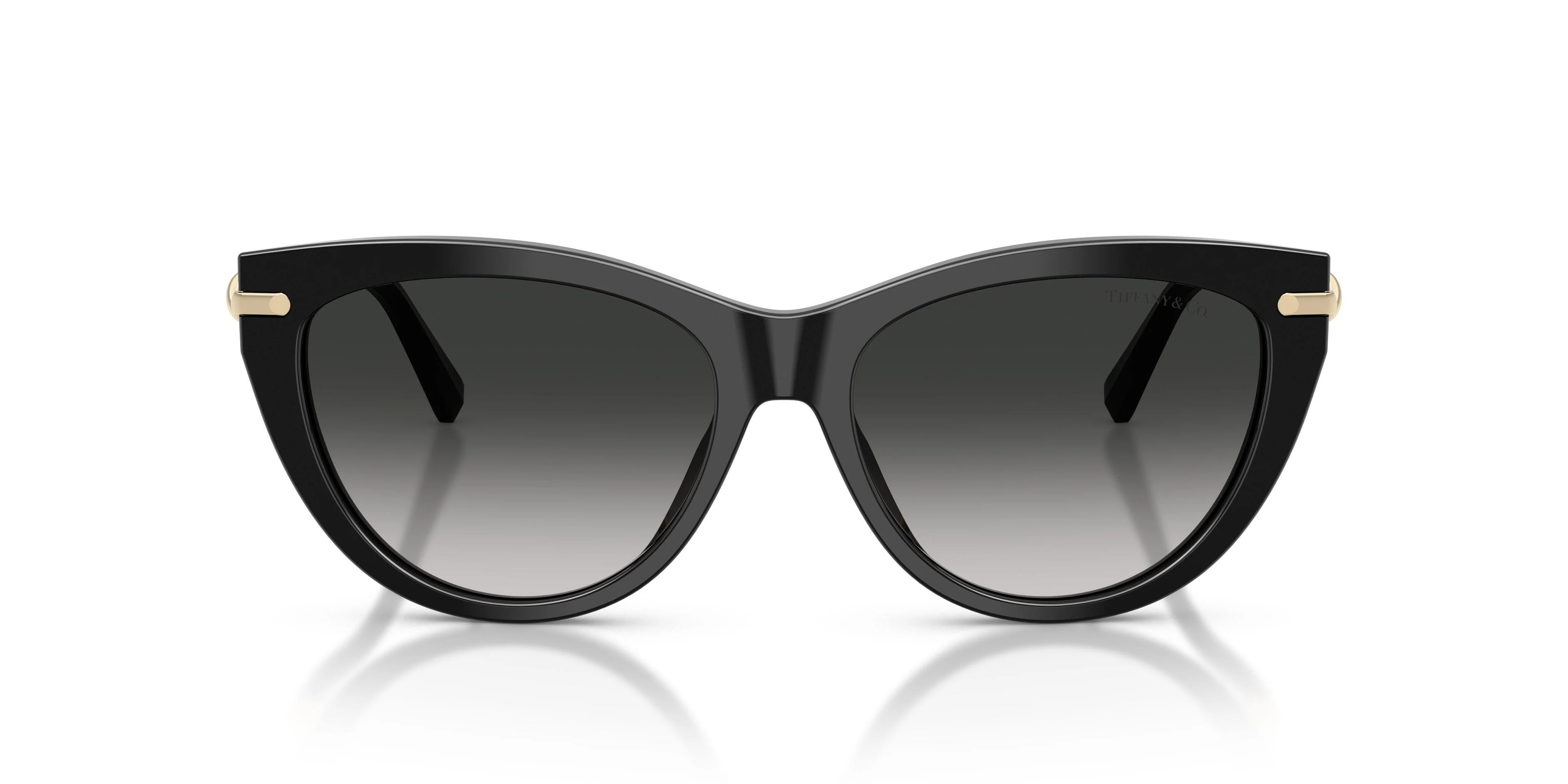 Tiffany 4253 Sunglasses - Image 14