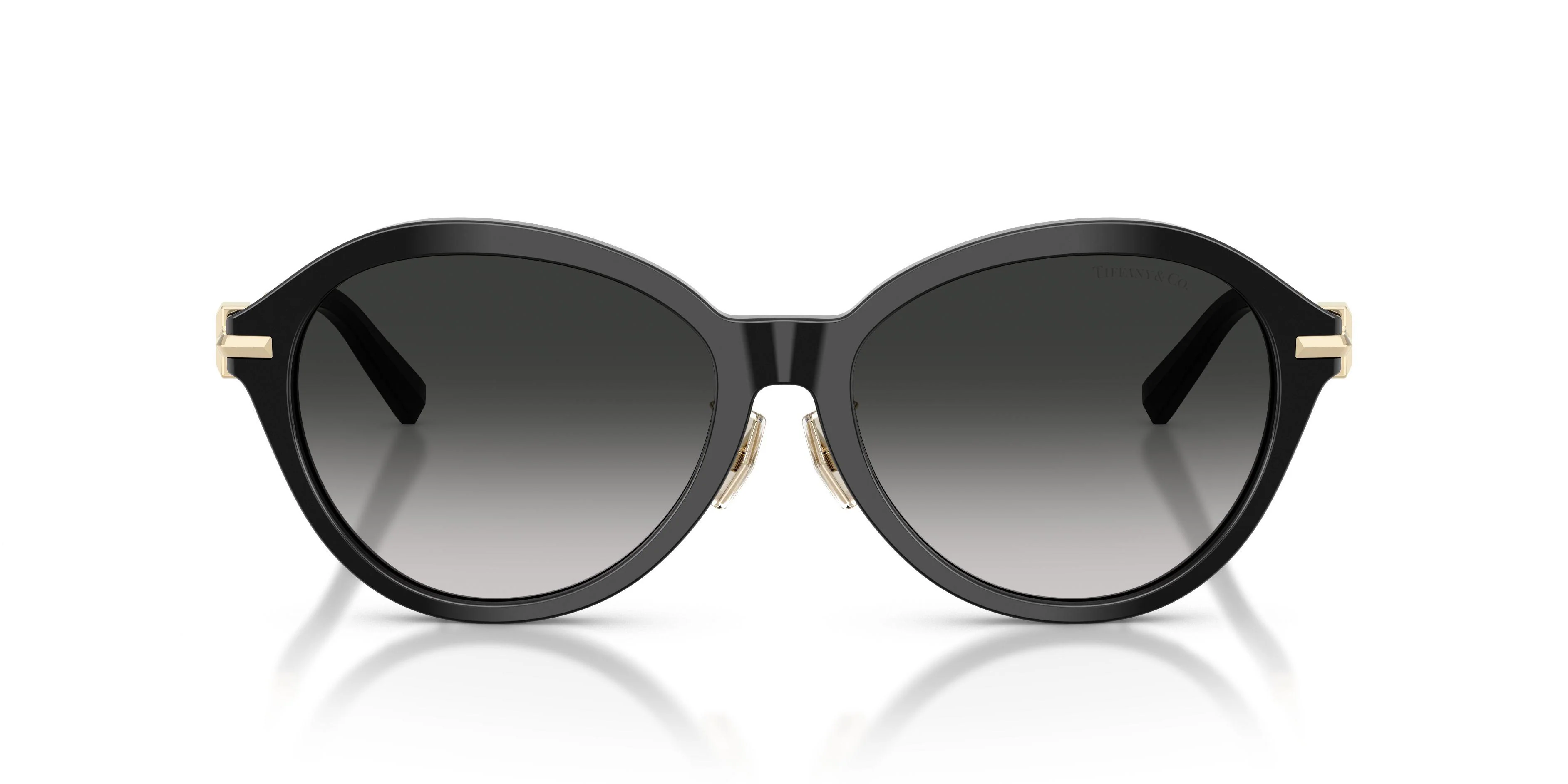 Tiffany 4259F Sunglasses - Image 14
