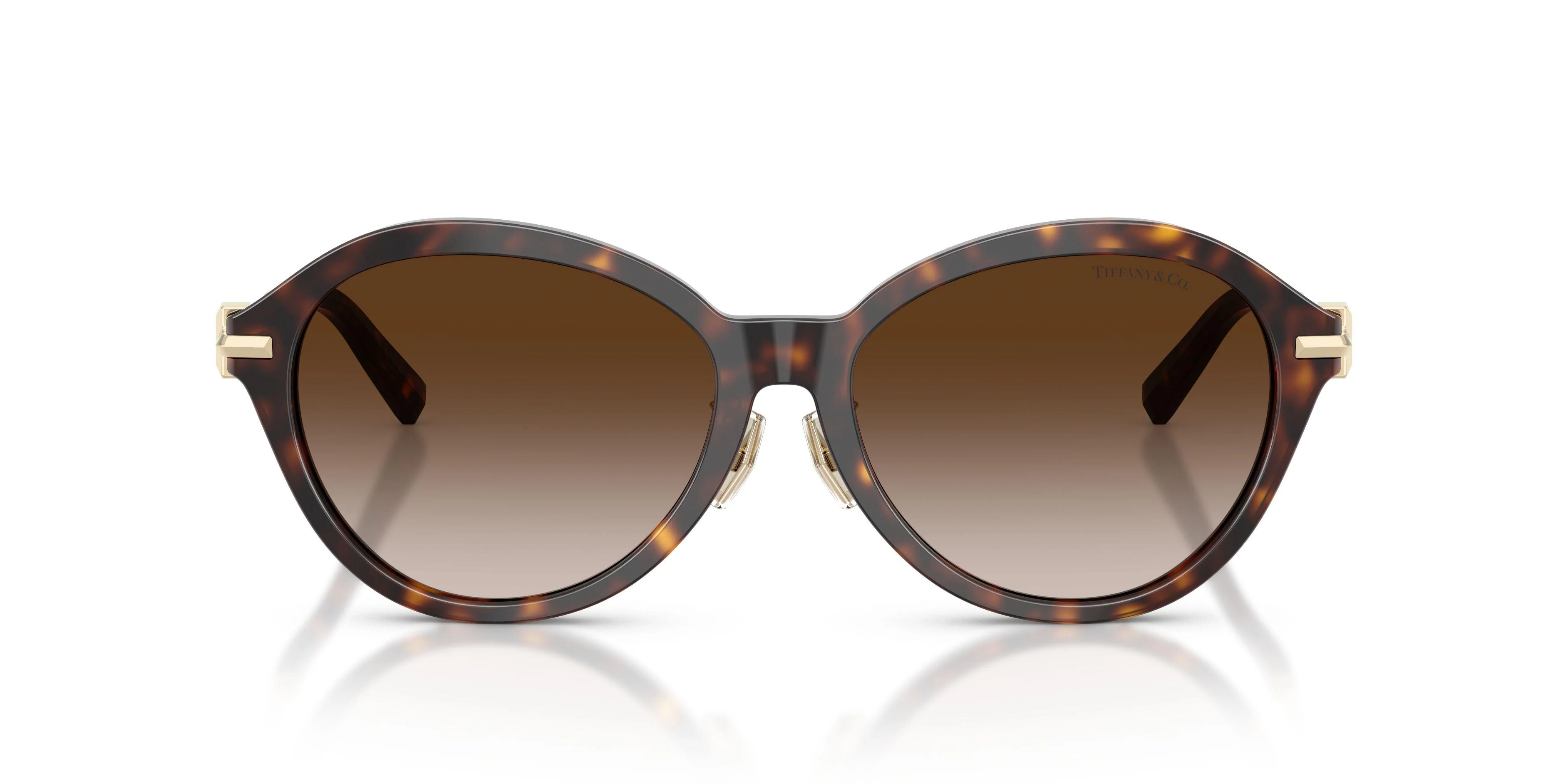 Tiffany 4259F Sunglasses - Image 9
