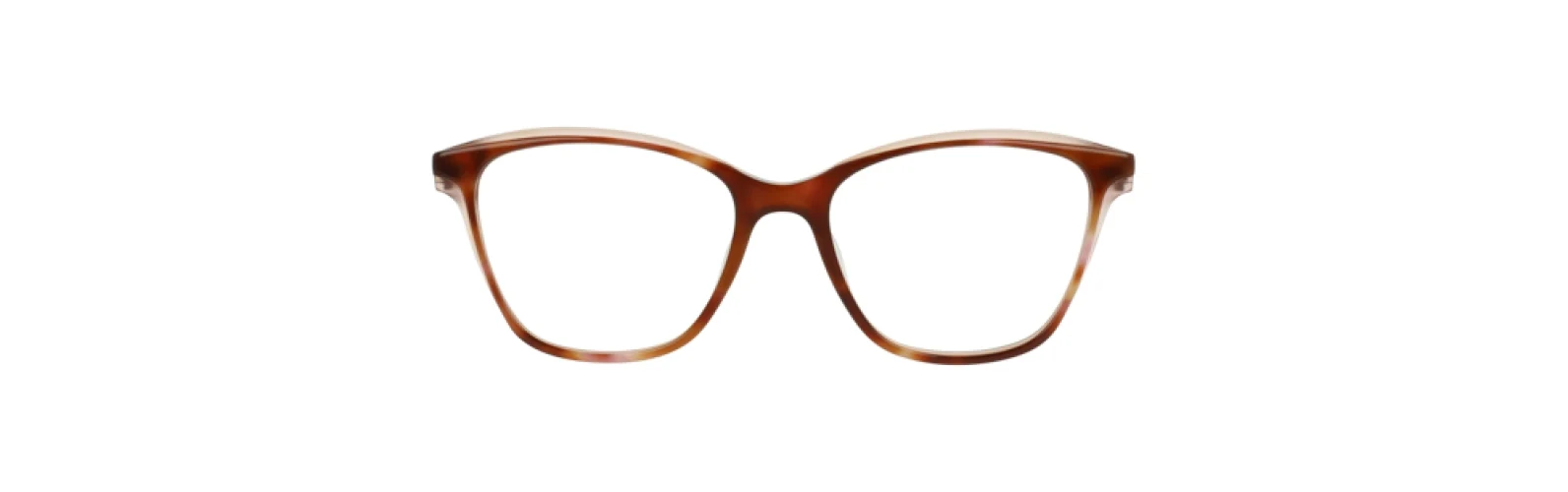 Trina Turk TTARQUETTE Eyeglasses - Image 6