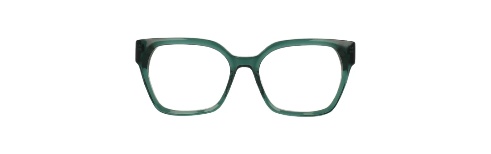 Trina Turk TTLORELEI Eyeglasses - Image 4