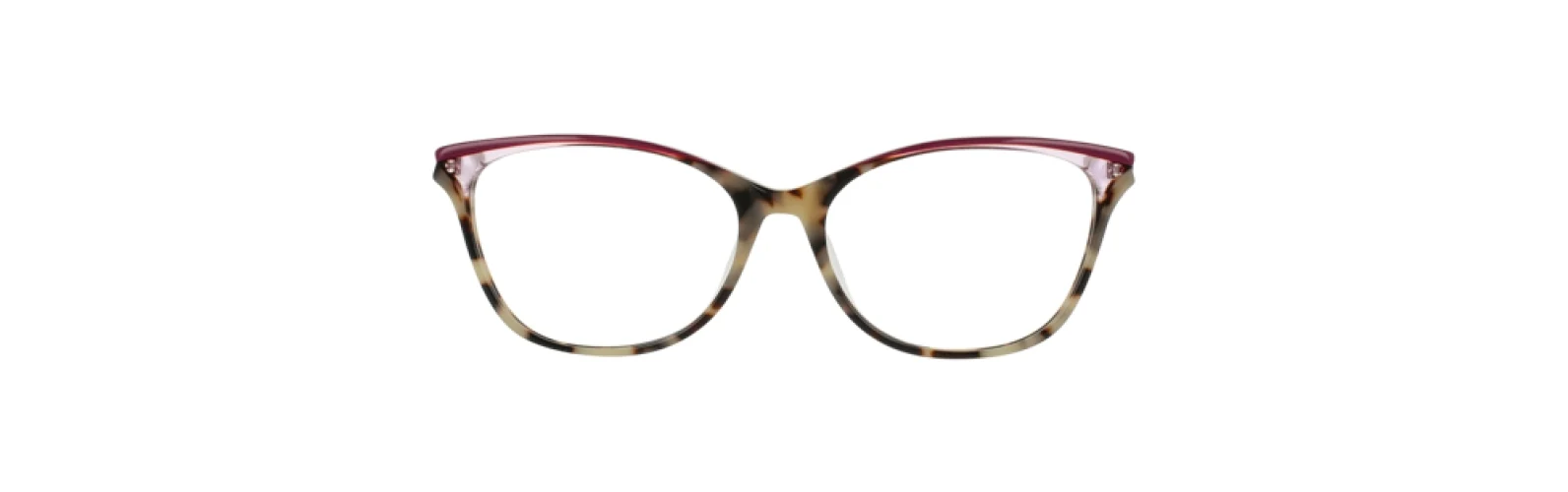 Vera Bradley VBTAUNTON Eyeglasses - Image 6